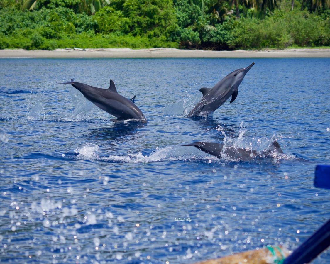 Araya Dive Resort Togean Bomba Extérieur photo