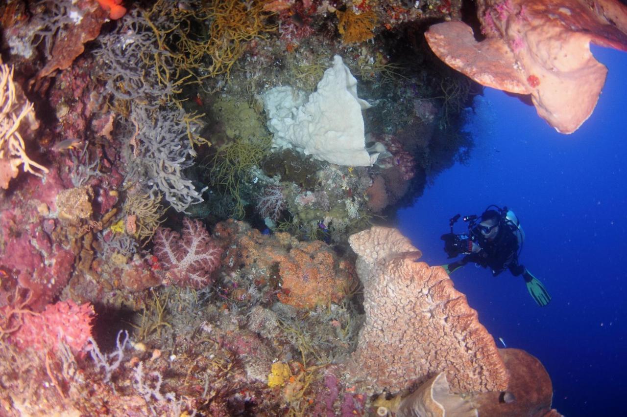 Araya Dive Resort Togean Bomba Extérieur photo