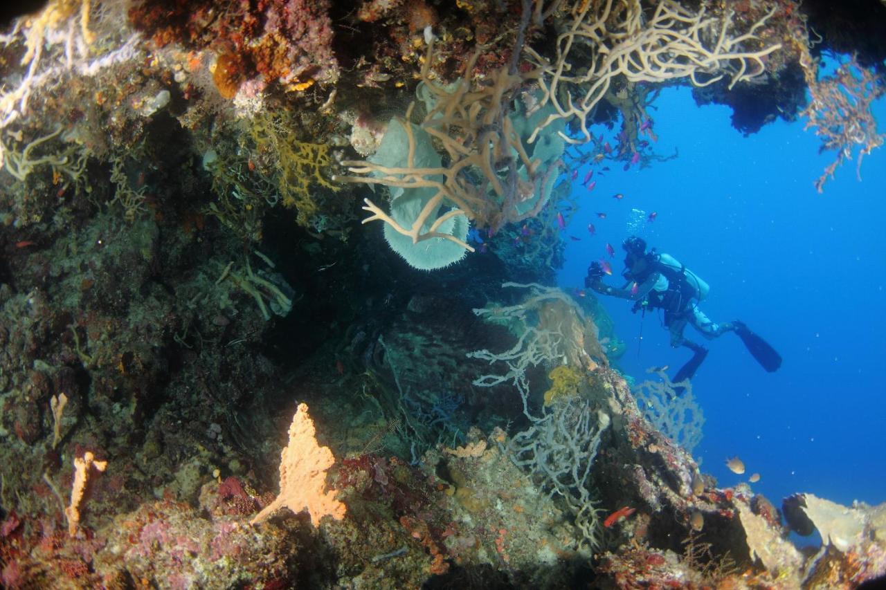 Araya Dive Resort Togean Bomba Extérieur photo