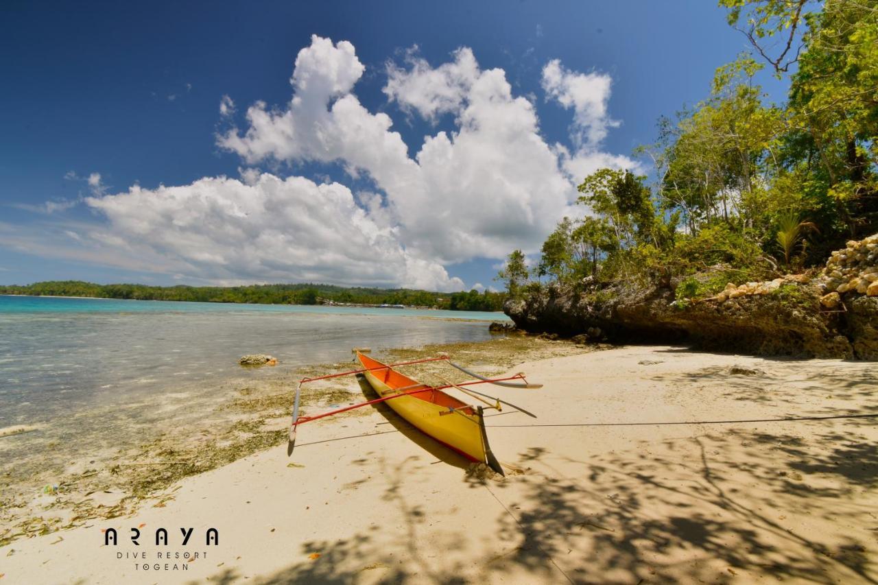 Araya Dive Resort Togean Bomba Extérieur photo